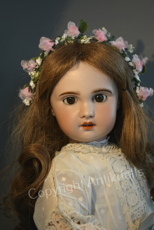 SFBJ 50cm